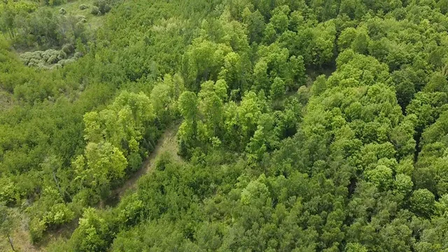 $84,628 | 70 Hwy Tipler Wi 54542, Unit 2, Long Lake, WI 54542