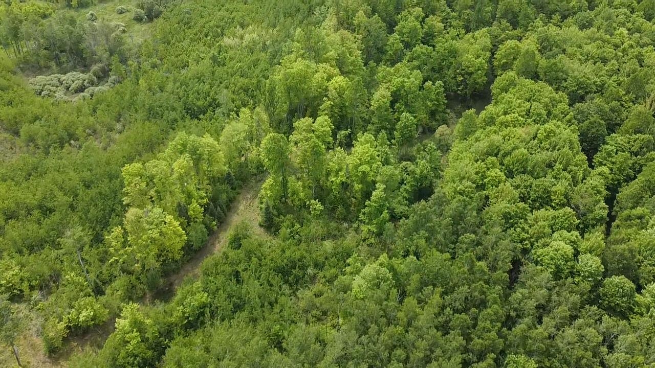 70 Hwy Tipler Wi 54542, Unit 2 Long Lake, WI 54542 - Photo 10 of 26