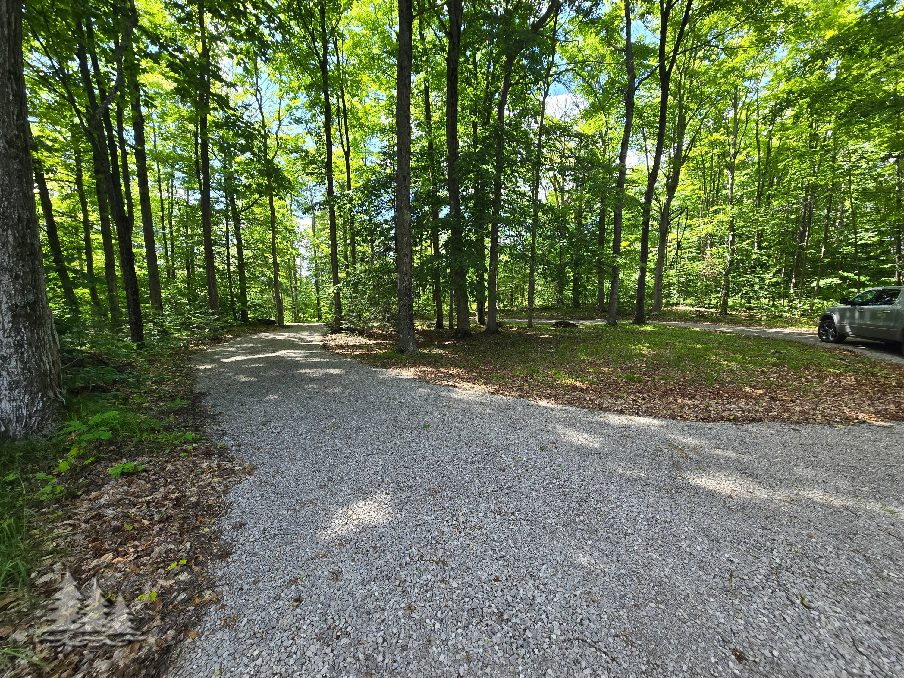 5005 Gamble Road Atlanta, MI 49709 - Photo 3 of 27 Gallery Image 3