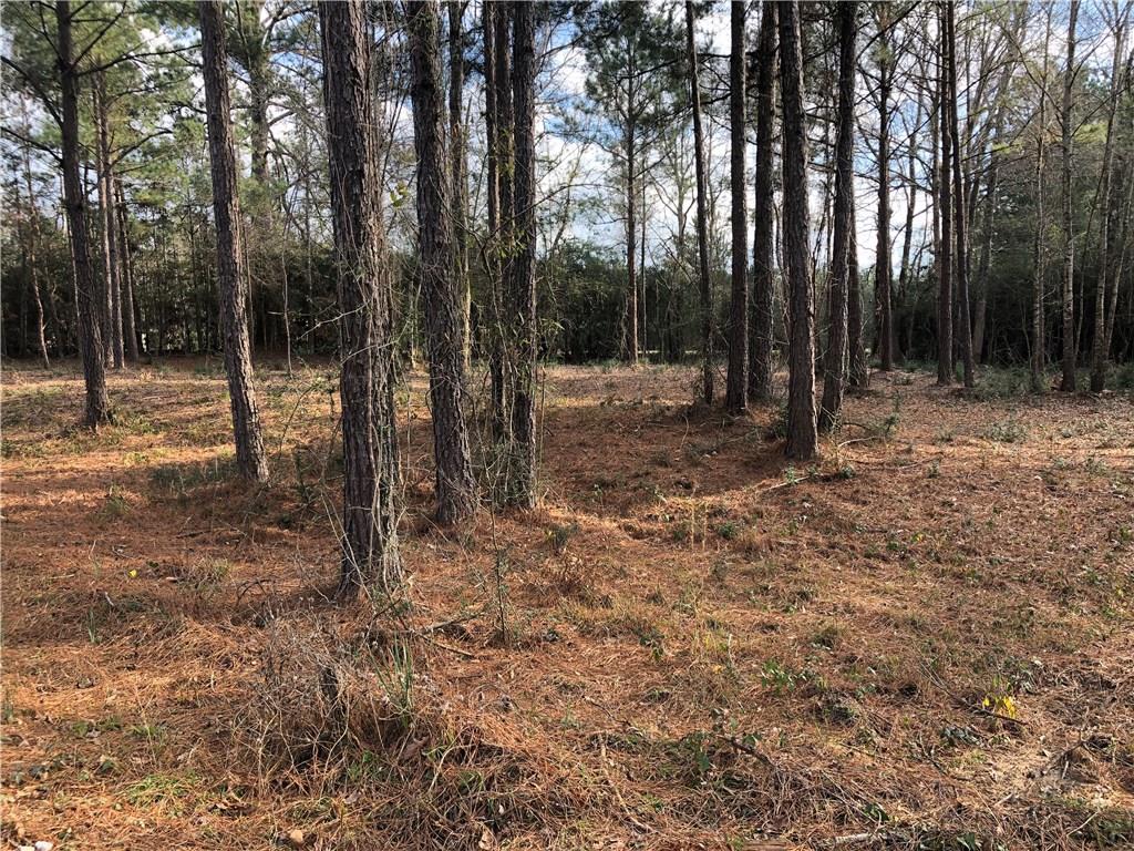 1935 Punkin Center Road Castor, LA 71016 - Photo 1 of 5 Gallery Image 1