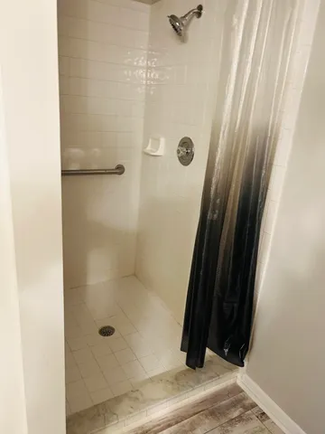 a view of a yard with plants and palm tree