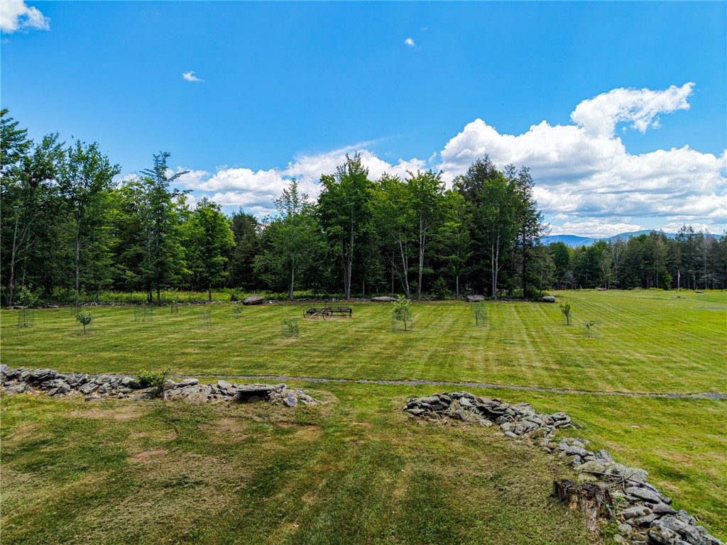 89 Zinno Road Windham, NY 12496 - Photo 44 of 50