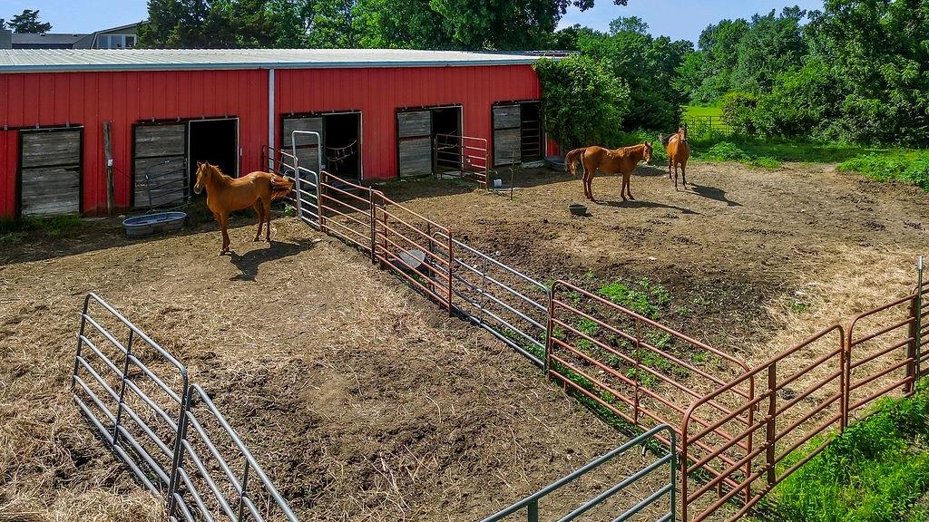 5973 Ogg Road Shawnee, KS 66218 - Photo 48 of 63