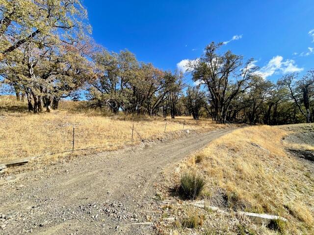 40 Burr Valley Road Bridgeville, CA 95526 - Photo 2 of 7