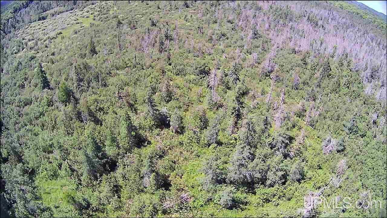 12103 V 25 Road Rapid River, MI 49878 - Photo 11 of 44
