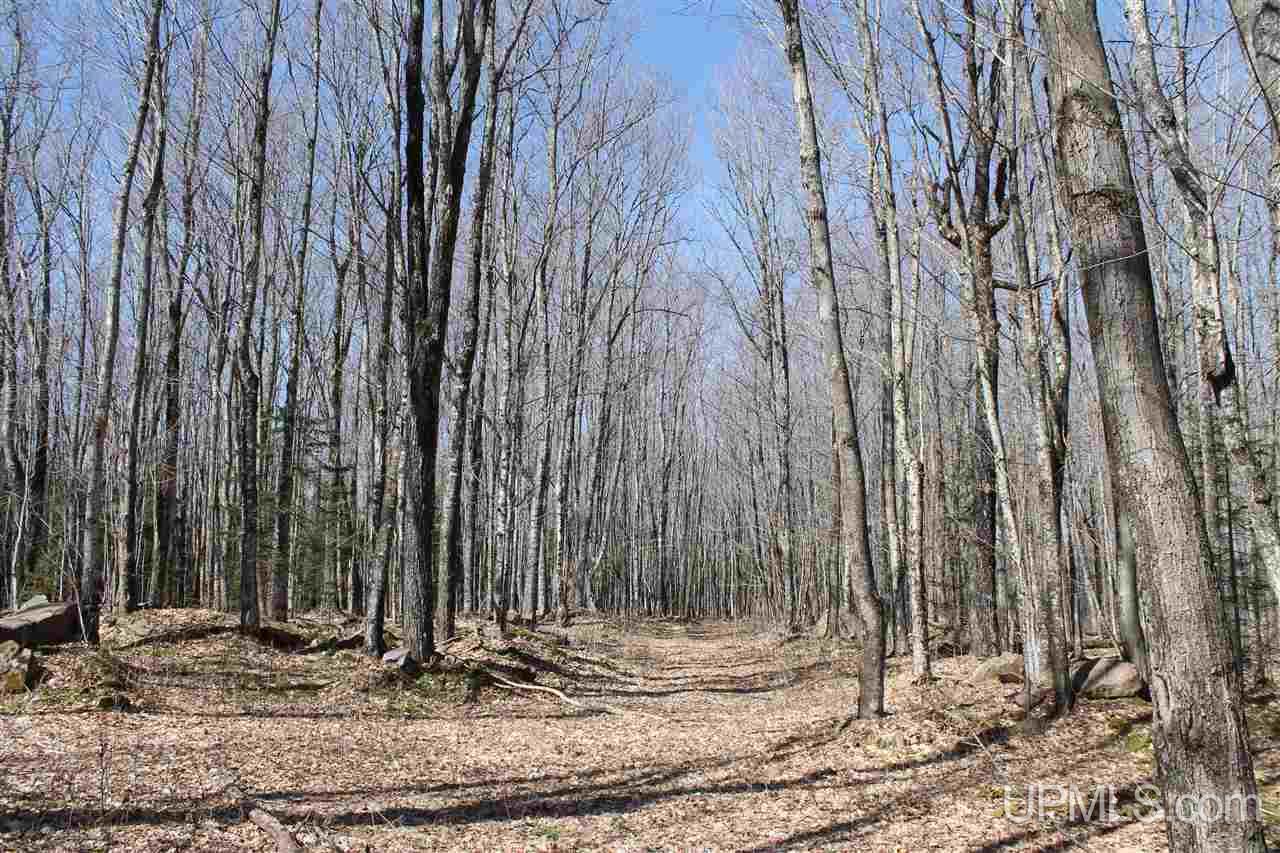 Tbd Tbd Trail Road, Unit 800 Deerton, MI 49822 - Photo 2 of 6