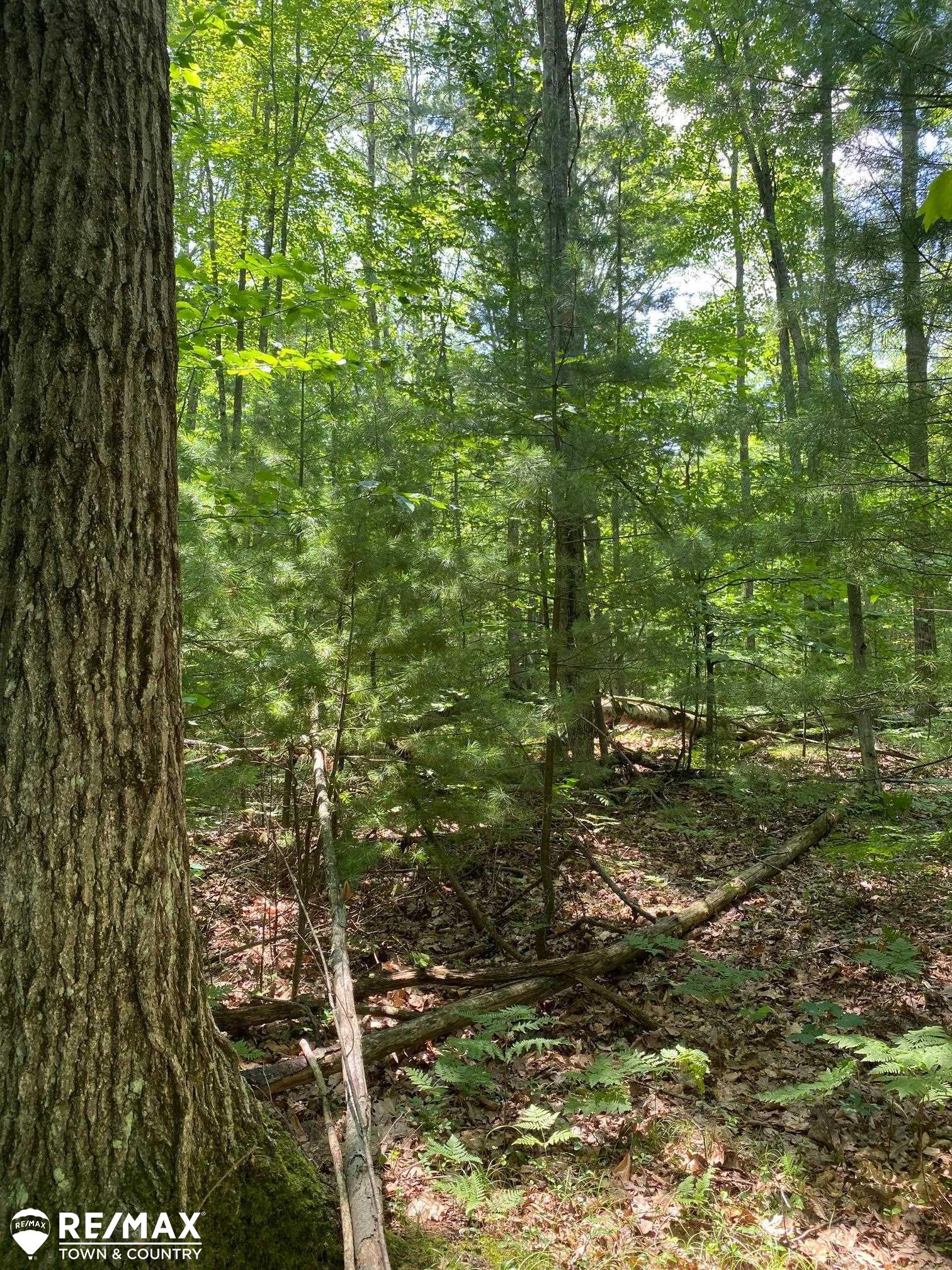 0 Browns Road Lake, MI 48632 - Photo 3 of 11