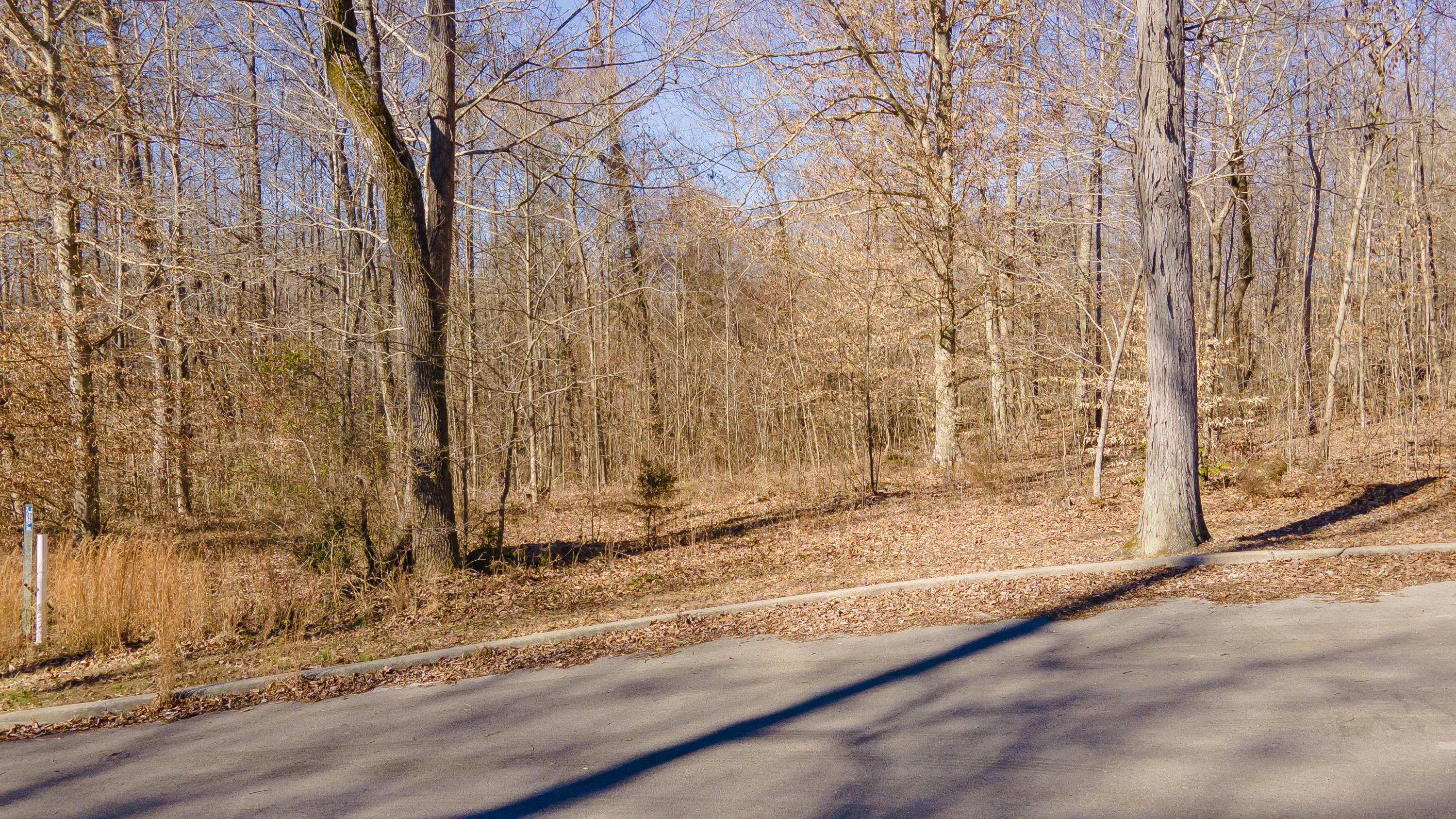 101 Treasure Holw Road Nancy, KY 42544 - Photo 4 of 23 Shepola Shores Lots-0870