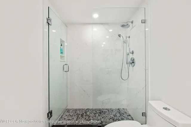 a bathroom with a shower a toilet and a sink