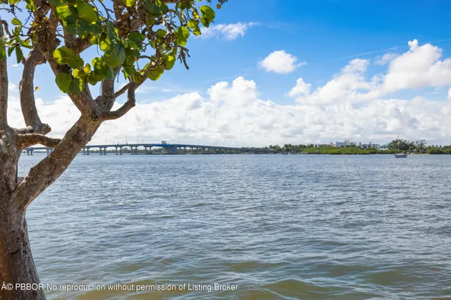 a view of a kitchen with furniture and a potted plant