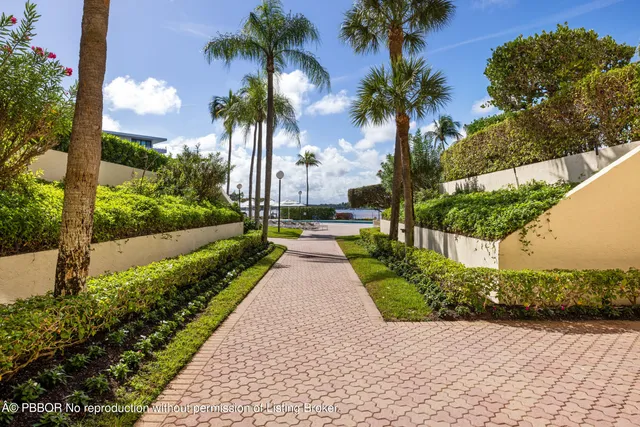 a view of a garden with a tree
