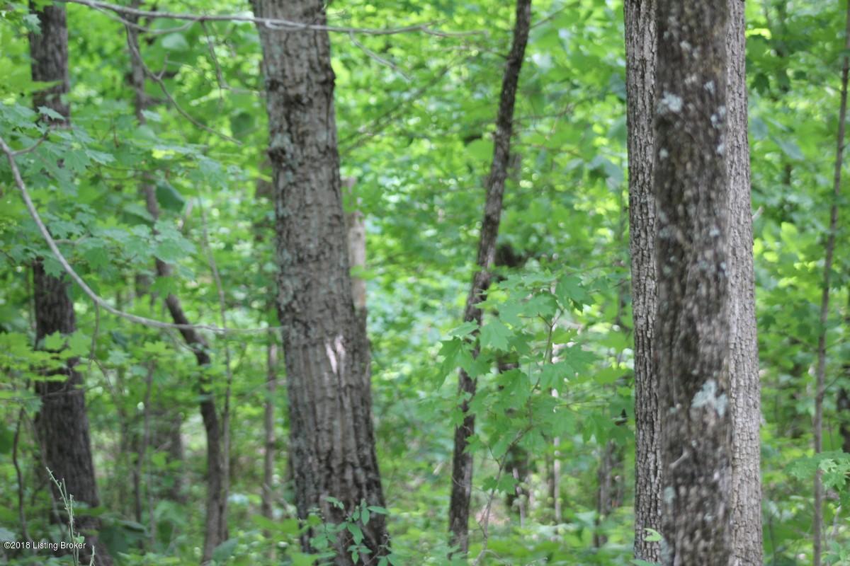 1000 Ready Jackson Road Caneyville, KY 42721 - Photo 11 of 31 Mudd Farms9
