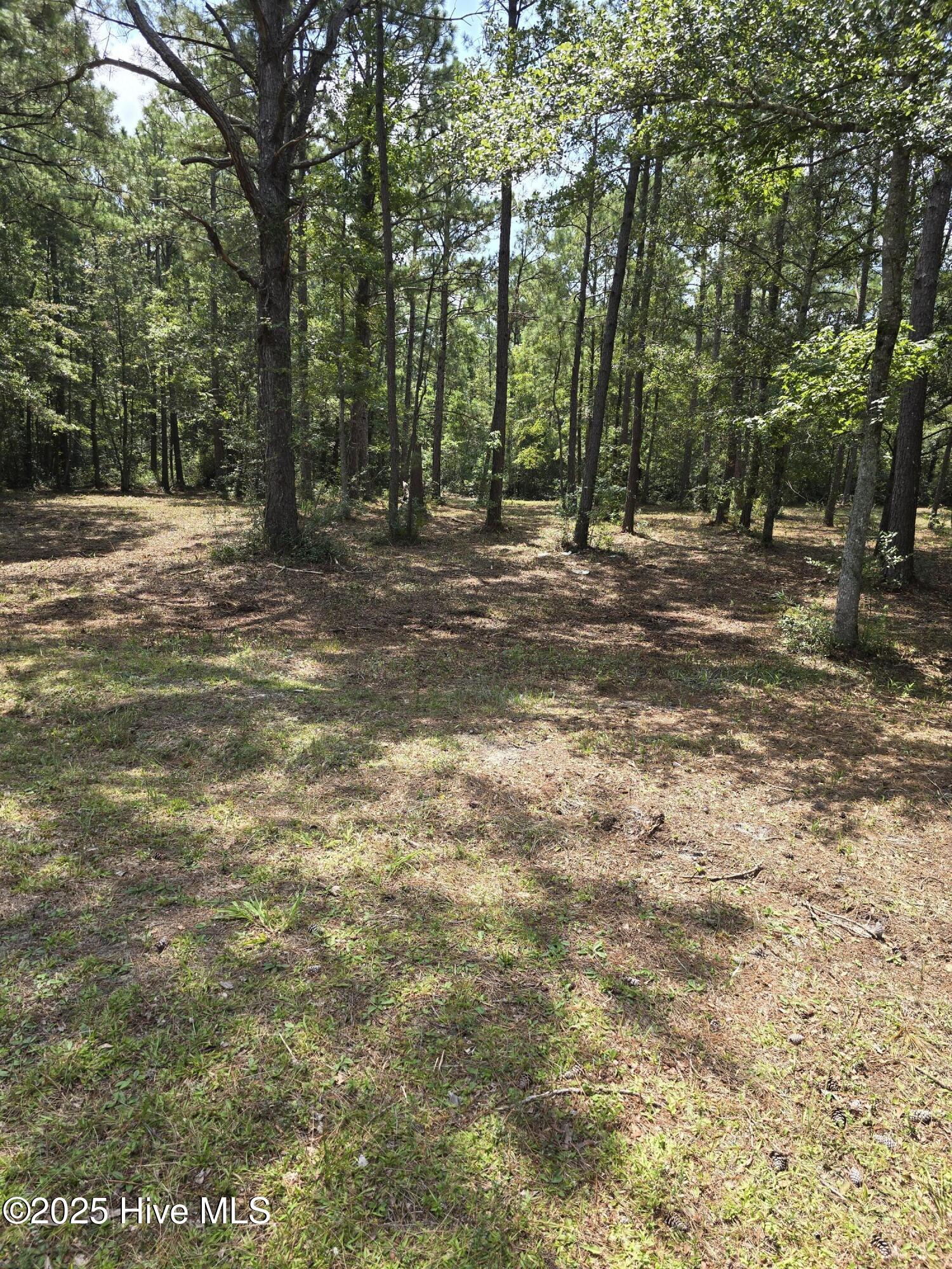 2539 Shell Point Road Southwest Shallotte, NC 28470 - Photo 2 of 20 SEAGO LAND