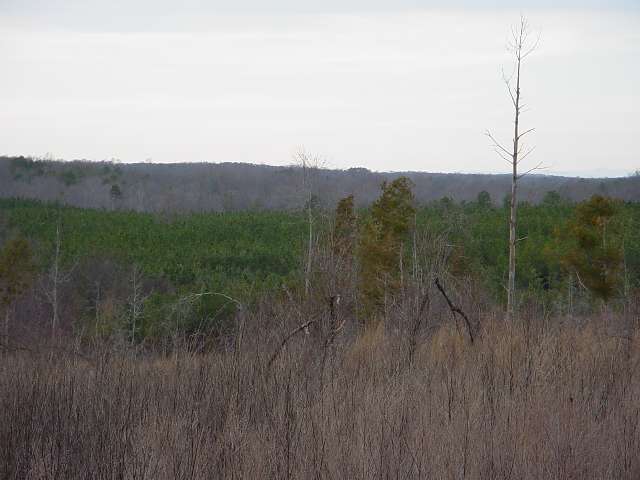 Lot 14 Mccullough School Road Honea Path, SC 29654 - Photo 1 of 3