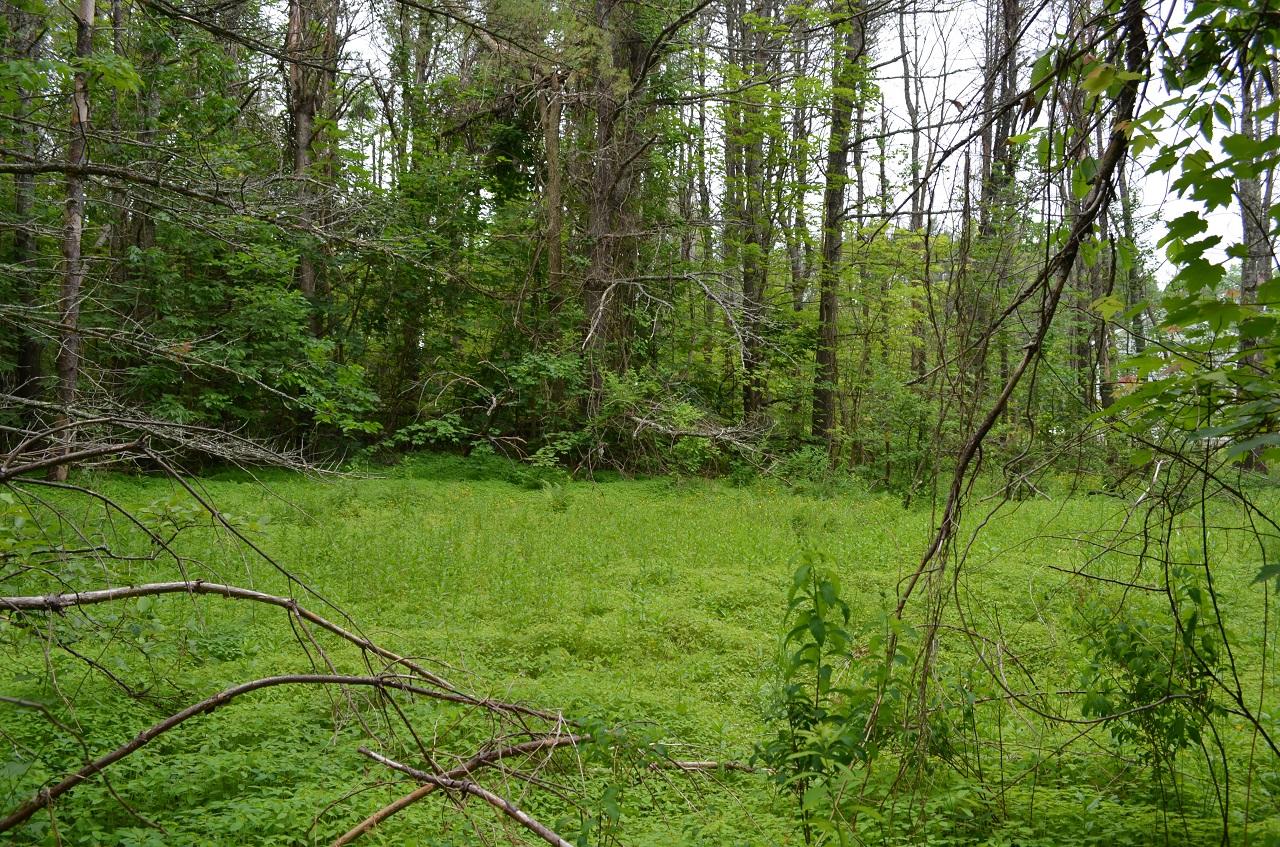 M11-l26 River Road Newcastle, ME 04553 - Photo 4 of 6 003