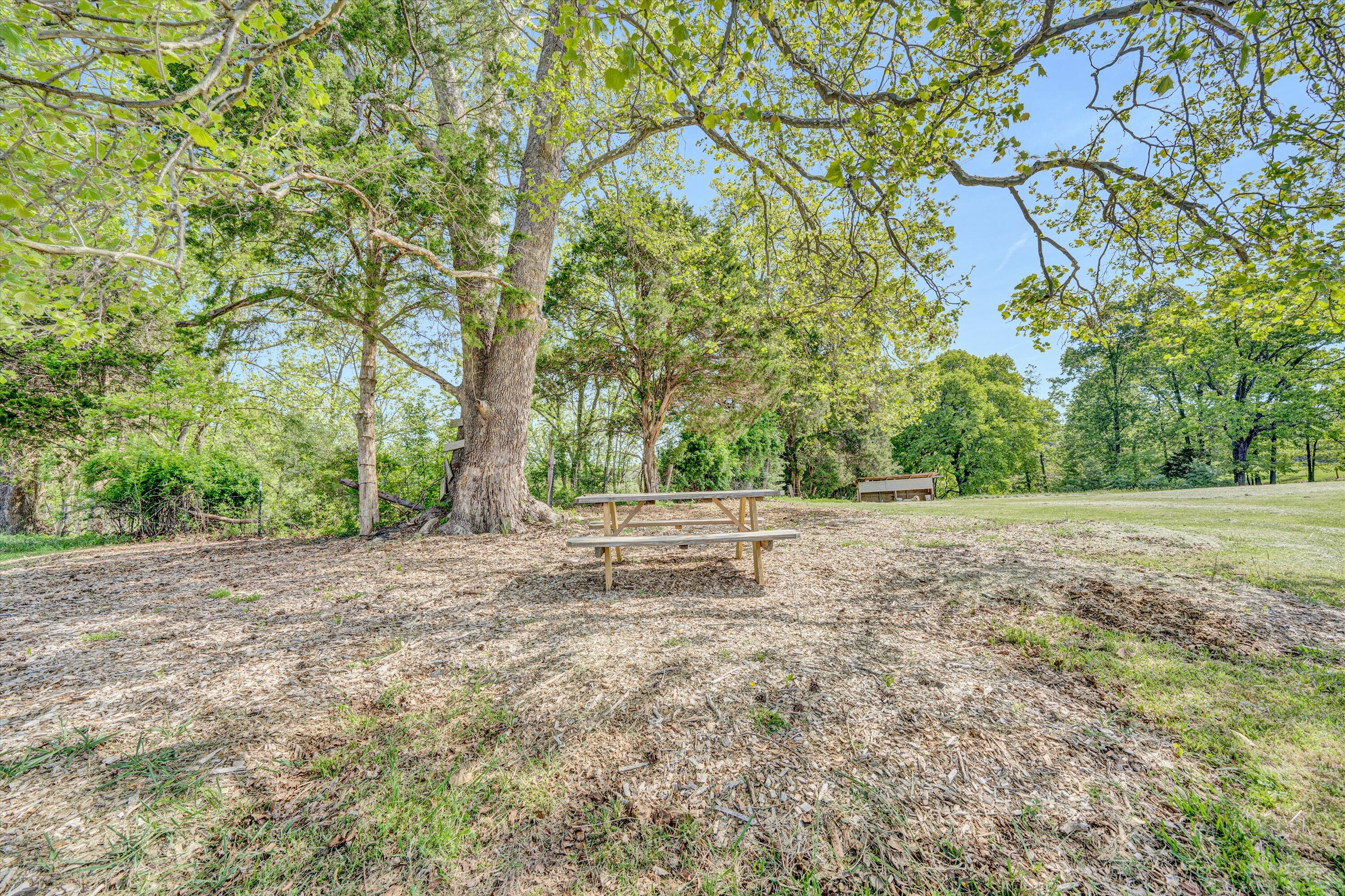 1410 Flowing Spring Road Buchanan, VA 24066 - Photo 45 of 63 45-DSC00196