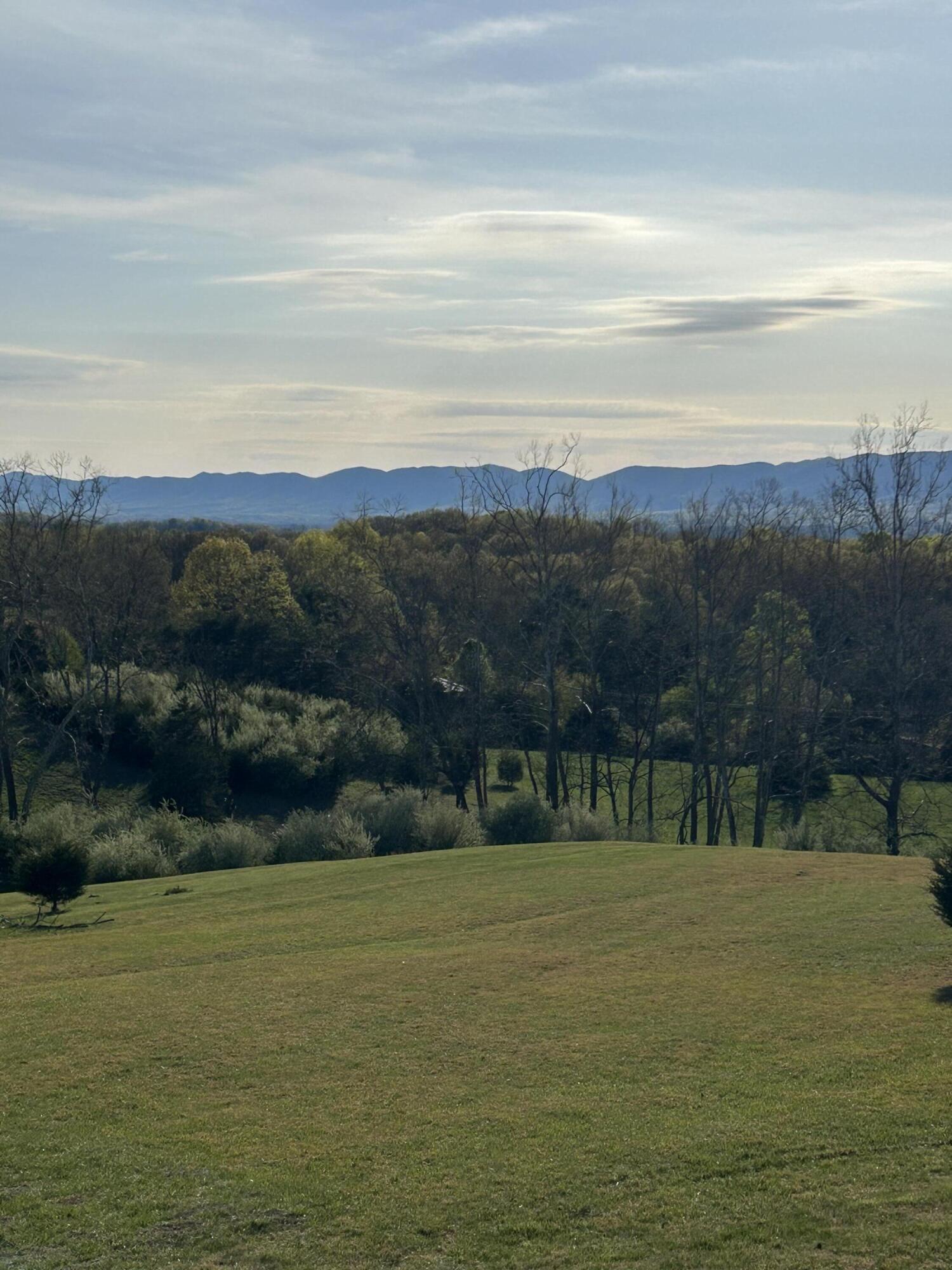 1410 Flowing Spring Road Buchanan, VA 24066 - Photo 61 of 63 IMG_9688