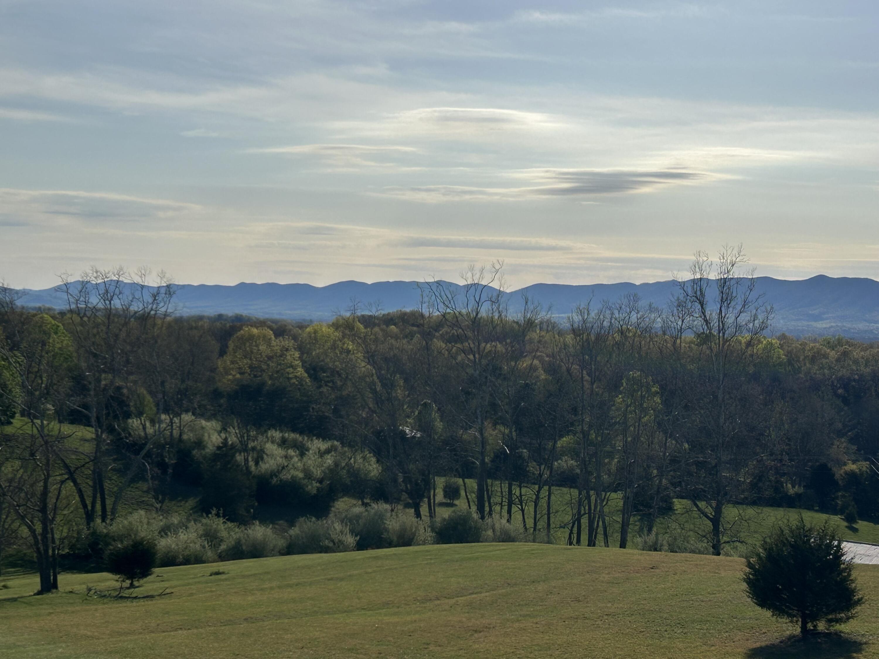 1410 Flowing Spring Road Buchanan, VA 24066 - Photo 62 of 63 IMG_9689