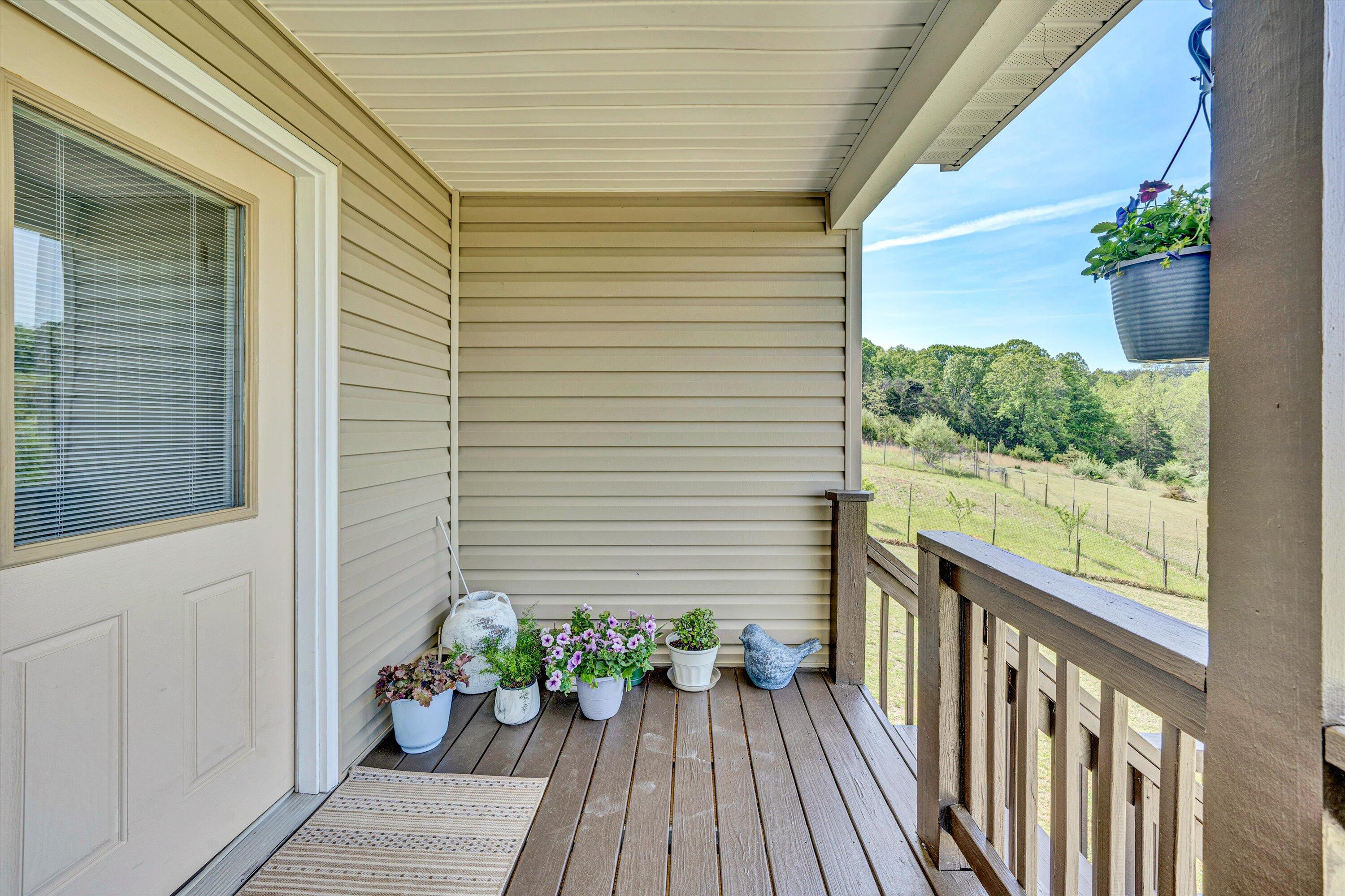 1410 Flowing Spring Road Buchanan, VA 24066 - Photo 8 of 63 08-DSC00081