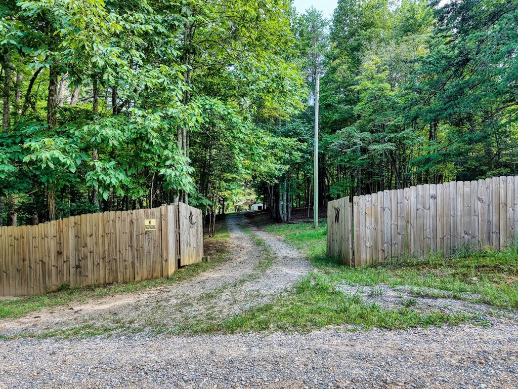 51 Cold Springs Trail Morganton, GA 30560 - Photo 11 of 40 a view of backyard with green space