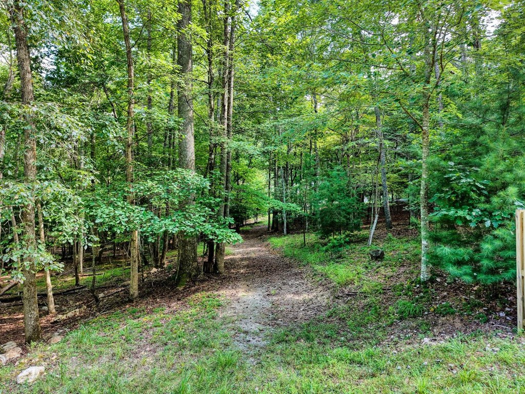 51 Cold Springs Trail Morganton, GA 30560 - Photo 13 of 40 a view of backyard with green space