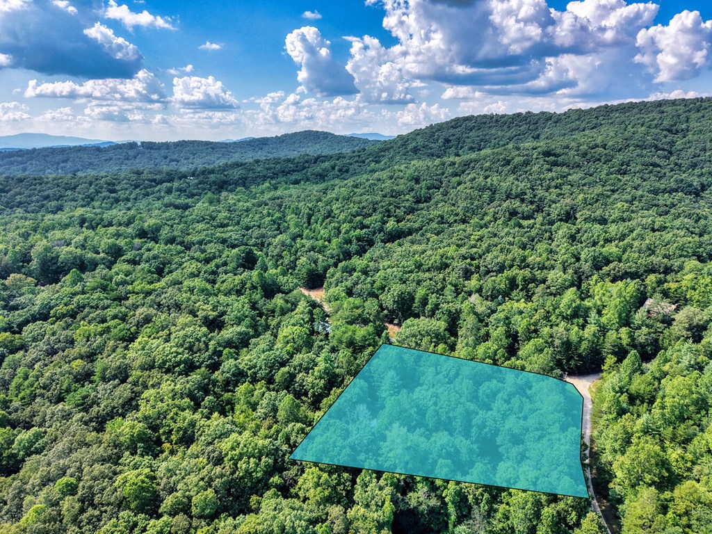 51 Cold Springs Trail Morganton, GA 30560 - Photo 22 of 40 a view of a green yard in front of a house
