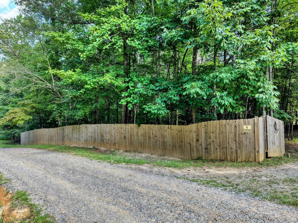 51 Cold Springs Trail Morganton, GA 30560 - Photo 25 of 40 a view of backyard and tree