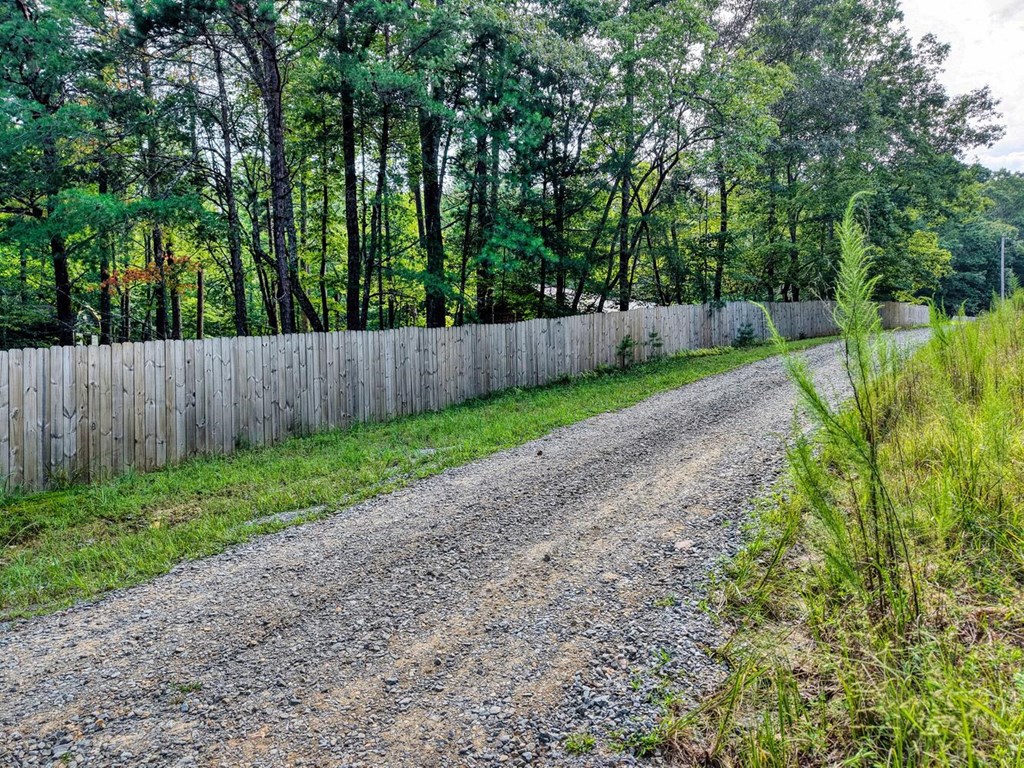 51 Cold Springs Trail Morganton, GA 30560 - Photo 29 of 40 a view of backyard with wooden fence