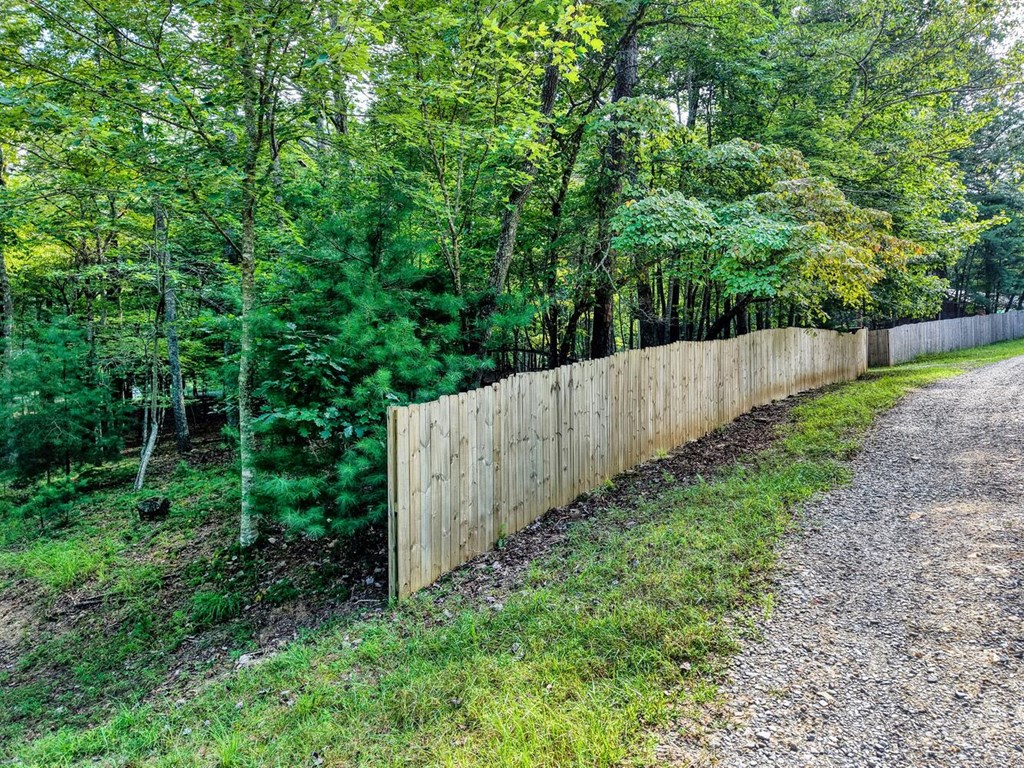 51 Cold Springs Trail Morganton, GA 30560 - Photo 3 of 40 a view of a yard with large trees and wooden fence