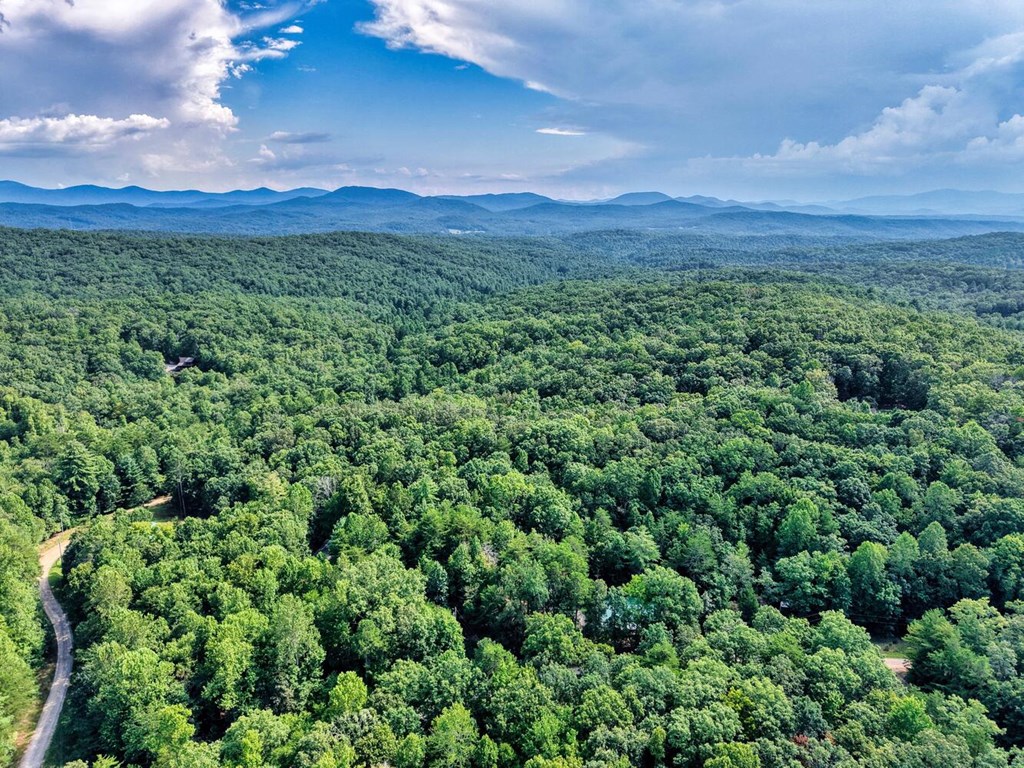 51 Cold Springs Trail Morganton, GA 30560 - Photo 31 of 40 a view of a lush green forest with houses in the back