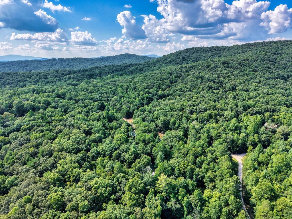 51 Cold Springs Trail Morganton, GA 30560 - Photo 34 of 40 a view of a city with lush green forest