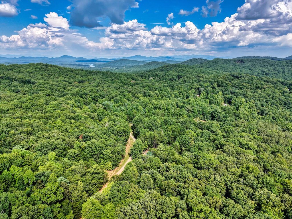 51 Cold Springs Trail Morganton, GA 30560 - Photo 35 of 40 a view of a yard with a flower garden