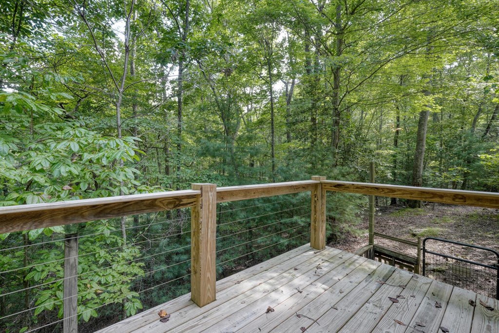 51 Cold Springs Trail Morganton, GA 30560 - Photo 40 of 40 a balcony with trees in front of it