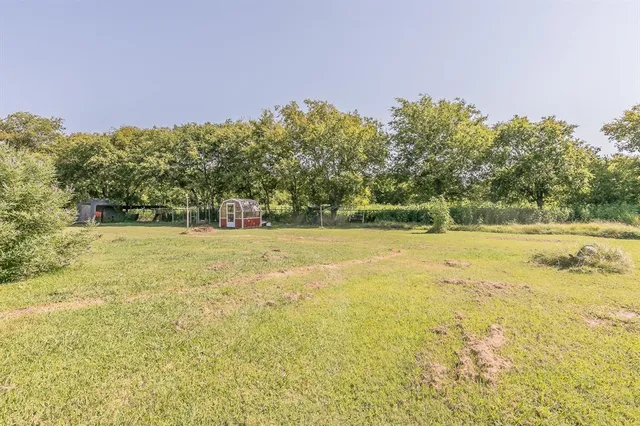 a view of a yard with a trees