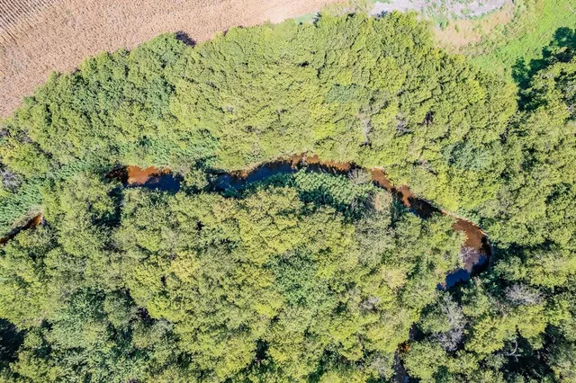 a backyard of a house with lots of green space