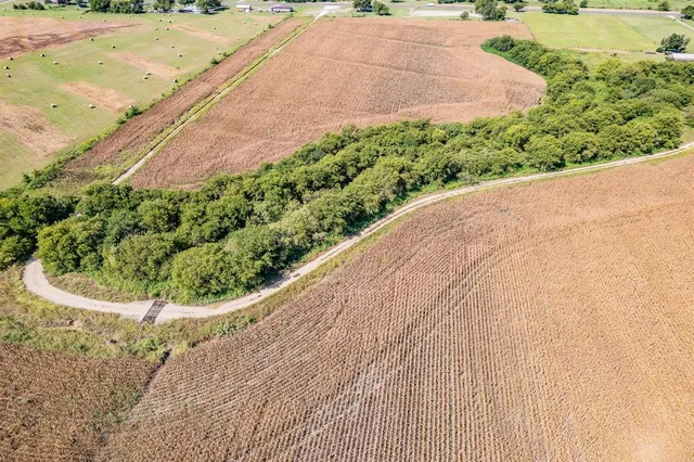 a view of a garden with a pathway