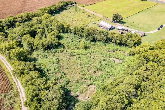 a view of a large yard with lots of green space