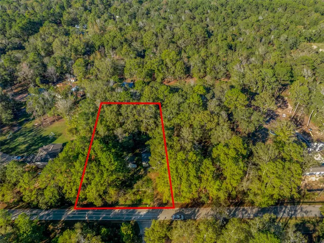 a view of a garden with plants