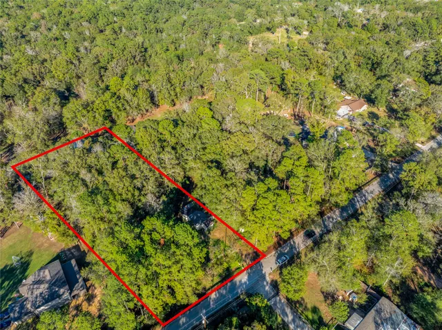 a view of a lush green forest with lots of trees