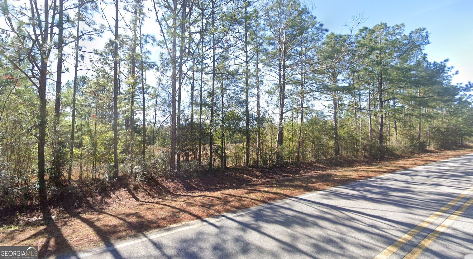 0 Spice Pond Road, Unit LOT A Eight Mile, AL 36613 - Photo 4 of 12