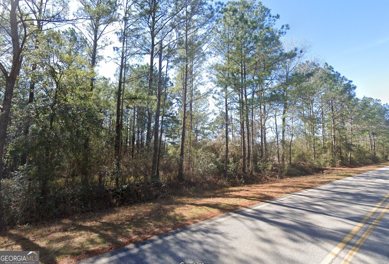 0 Spice Pond Road, Unit LOT A Eight Mile, AL 36613 - Photo 5 of 12