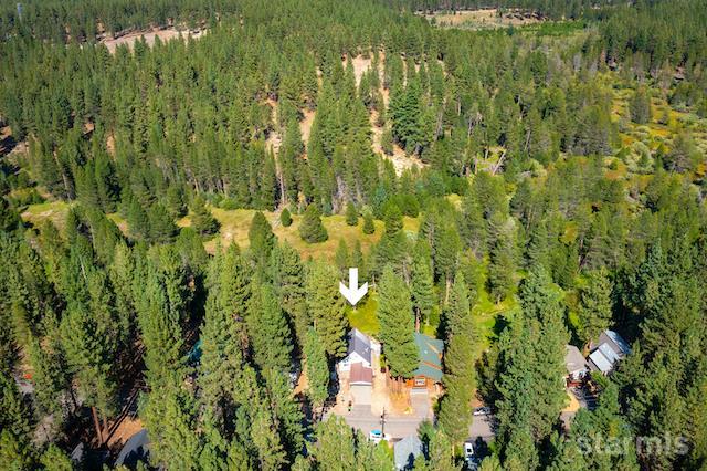 1429 Chinquapin Drive South Lake Tahoe, CA 96150 - Photo 29 of 37 a close up of a plant in a garden