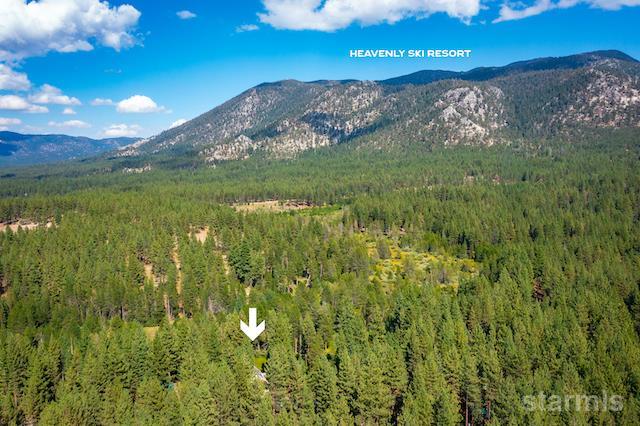 1429 Chinquapin Drive South Lake Tahoe, CA 96150 - Photo 30 of 37 a view of a lush green space with sea