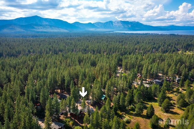 1429 Chinquapin Drive South Lake Tahoe, CA 96150 - Photo 31 of 37 a view of a lush green forest with sea