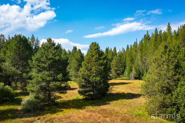 1429 Chinquapin Drive South Lake Tahoe, CA 96150 - Photo 35 of 37 a view of a yard with swimming pool