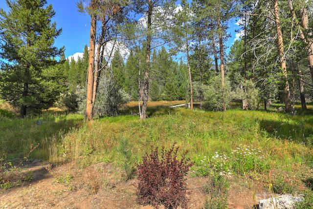 1429 Chinquapin Drive South Lake Tahoe, CA 96150 - Photo 7 of 37 a view of an outdoor space and a yard
