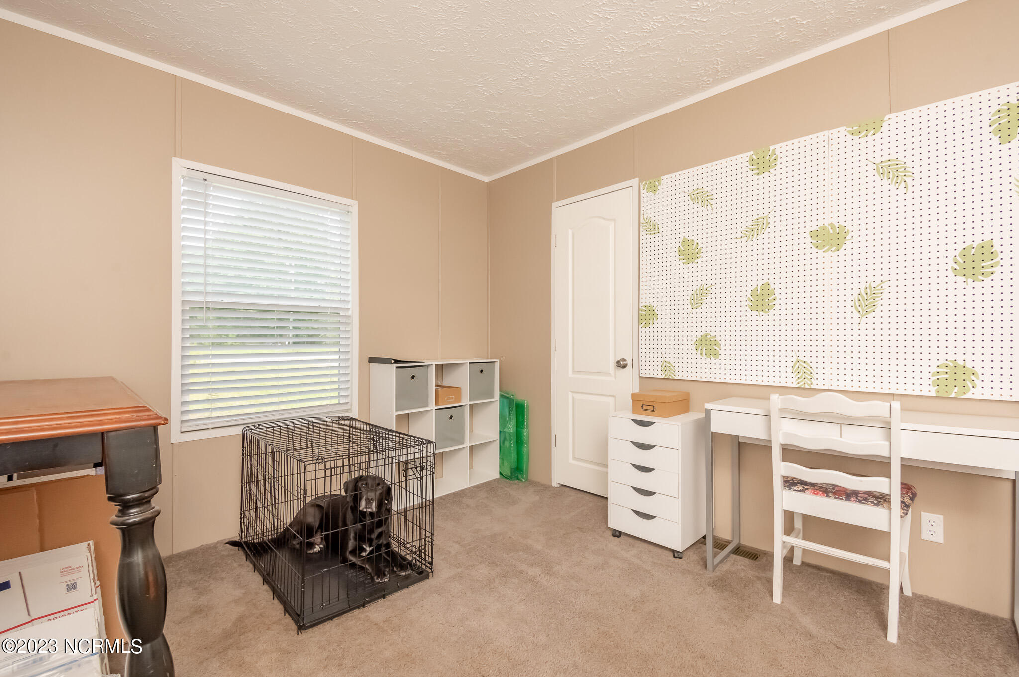 239 Newbold Road Jacksonville, NC 28540 - Photo 38 of 49 DSC_1677