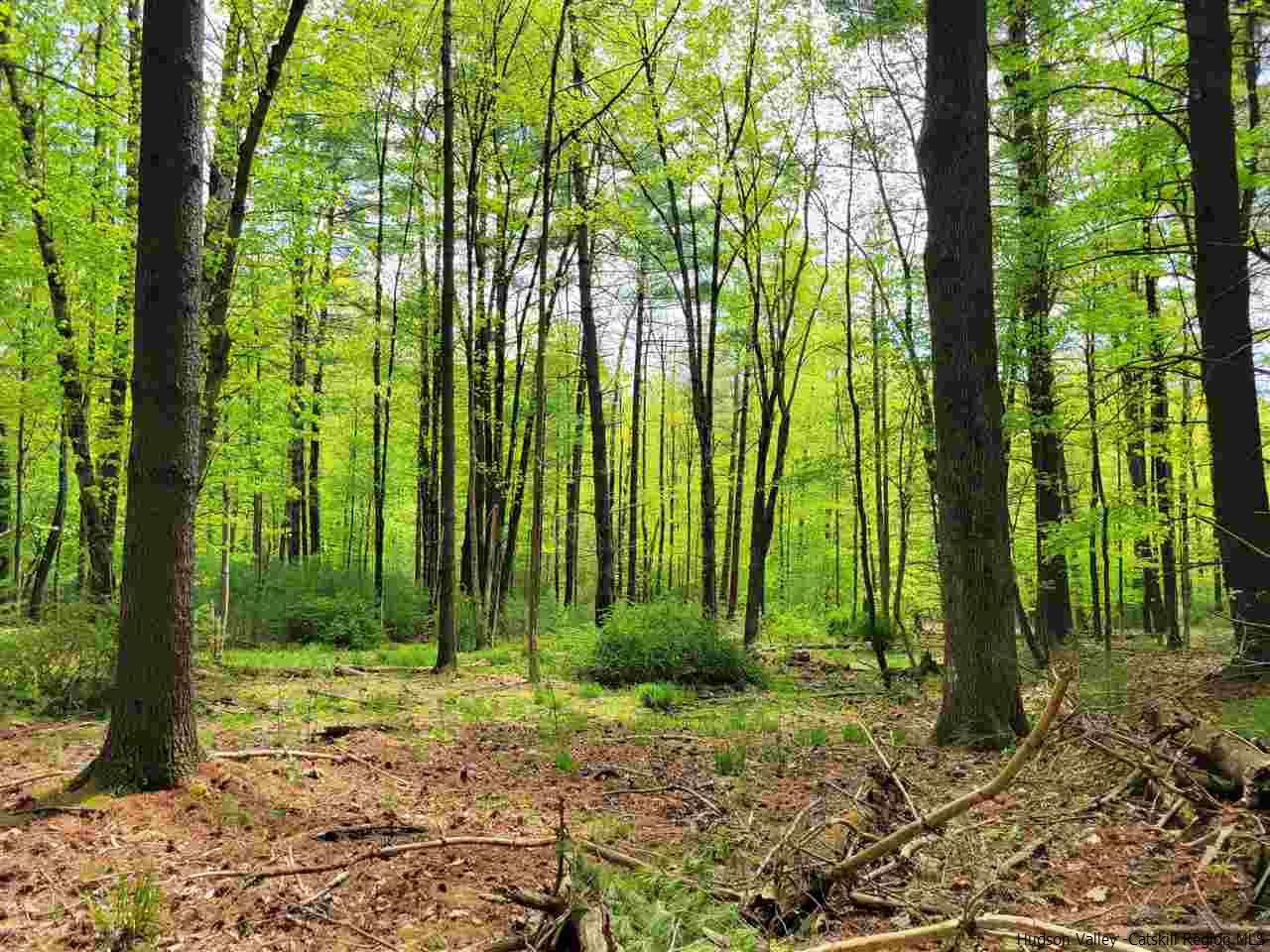 19-20 Grogkill Road Willow, NY 12495 - Photo 11 of 35 Photo 11
