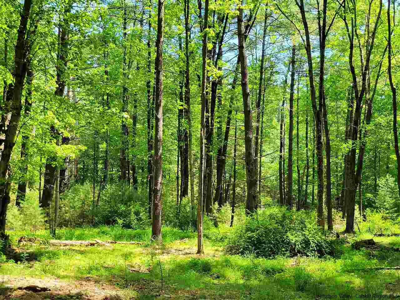 19-20 Grogkill Road Willow, NY 12495 - Photo 12 of 35 Photo 12