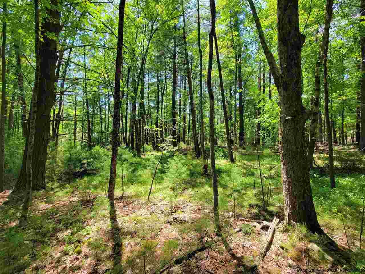 19-20 Grogkill Road Willow, NY 12495 - Photo 16 of 35 Photo 16